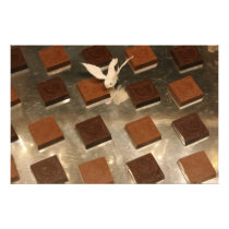 Chocolate Photographic Print