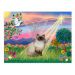 Chocolate Point Himalayan Cat -  Cloud Angel Post Card