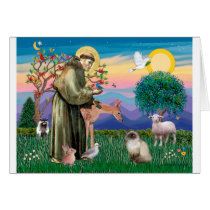 Chocolate Point Himalayan Cat  - St Francis cards