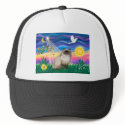 Chocolate Point Himalayan Cat - Twilight hats by catartgifts Chocolate Point Himalayan Cat - Twilight hats