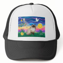 Chocolate Point Himalayan Cat - Twilight hats by catartgifts Chocolate Point Himalayan Cat - Twilight hats