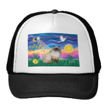 Chocolate Point Himalayan Cat  - Twilight Trucker Hat