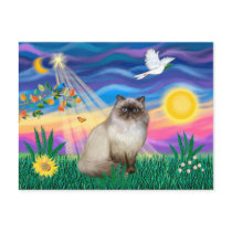 Chocolate Point Himalayan Cat - Twilight postcards by catartgifts Chocolate Point Himalayan Cat - Twilight postcards