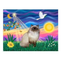 Chocolate Point Himalayan Cat  - Twilight Post Card