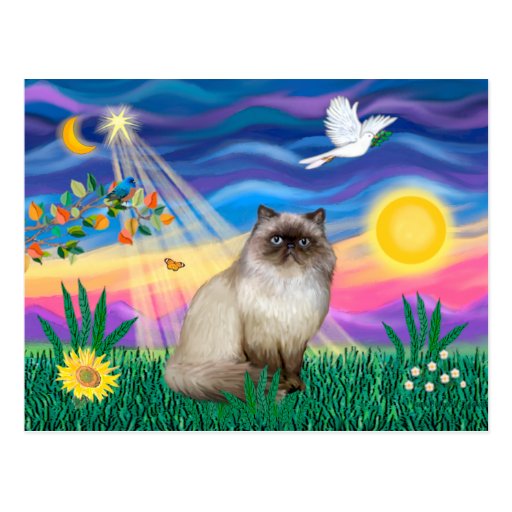 Chocolate Point Himalayan Cat  - Twilight Post Card