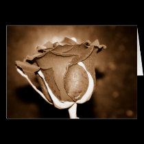 Chocolate Rose cards
