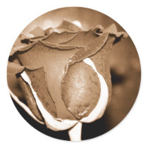 Chocolate Rose Sticker