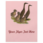 Chocolate Runner Duck Family flyers