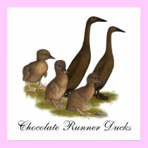 Chocolate Runner Duck Family posters