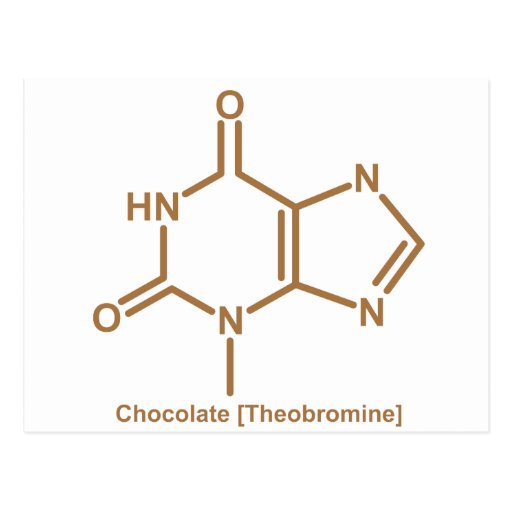 Chocolate theobromine postcard Zazzle