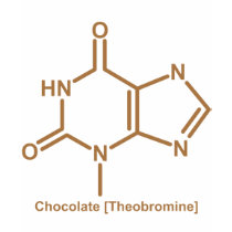 Chocolate theobromine t-shirts
