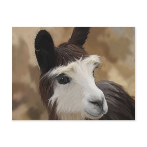 Chocolate & white Alpaca postcard