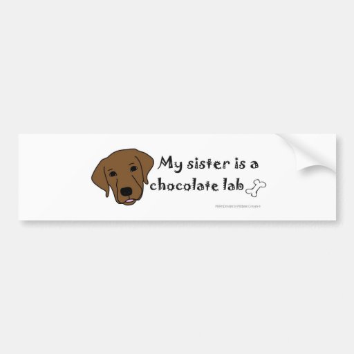 ChocolateLabSister Bumper Stickers