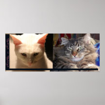 chocs &charcs posters