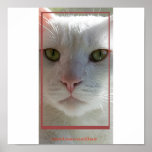 chocs posters