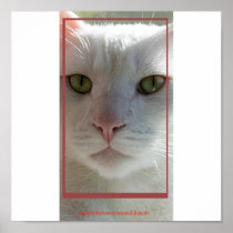 chocs poster