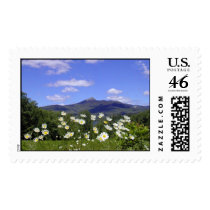 Chocura Daisies postage