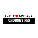 CHODSKY PES t-shirts