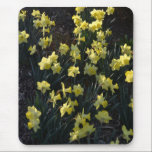 Choir of Daffodils mousepads