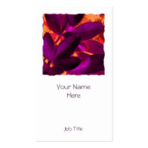 Choisya Autumn 3 square white portrait Business Card