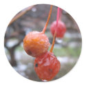 Choke cherry stickers