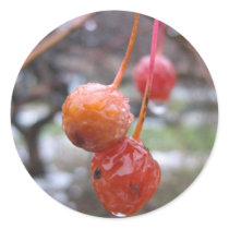 Choke cherry stickers by sonje_gejji Choke cherry stickers