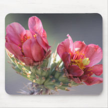 Cholla Bloom Mousepad