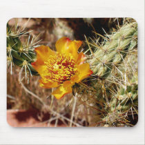 Cholla Flower mousepads