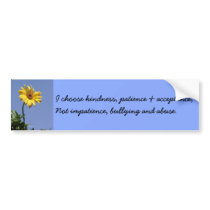 Choose kindness patience acceptance Bumper Sticker