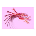 Choose your own colors - Flame 06050812av3 posters by C00L_AC Choose your own colors - Flame 06050812av3 posters