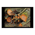 Chopped Tree posters by fractaldimensions Chopped Tree posters