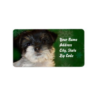 Chorkie puppy address labels