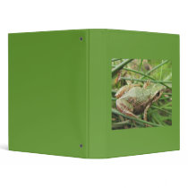 Chorus Tree Frog binders