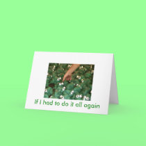 Chosen cards