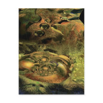 Chosen meditation spot postcards
