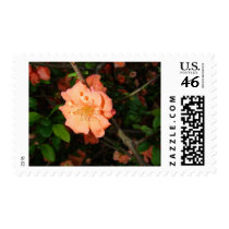 Chosen Postage Stamp