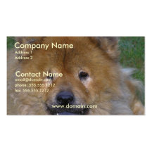 Chow Business Card