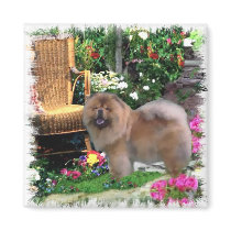 Chow Chow Art Gifts magnets by DogsByDezign Chow Chow Art Gifts magnets
