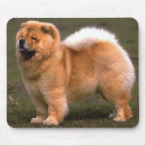 Chow Chow Dog mousepads