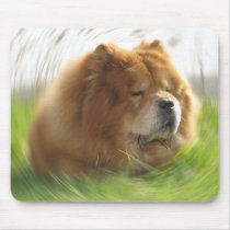 Chow-Chow, Hund, Tier, China, Natur, Animal,dog, Mousepad