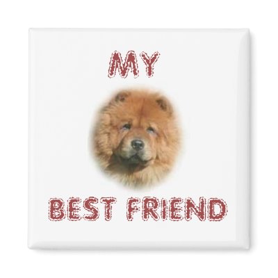 CHOW CHOW MAGNET by shellzo