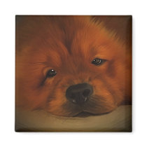Chow Chow magnets by Cazzies_Creations Chow Chow magnets