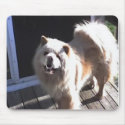 chow chow mousepads