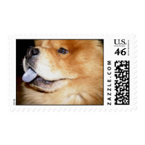 Chow Chow postage