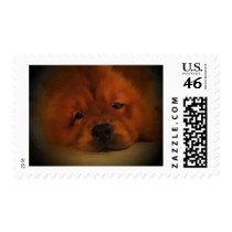Chow Chow postage