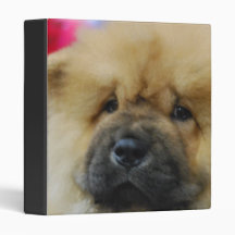 Chow Chow Puppy Binder