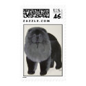 Chow chow Stamp