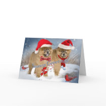 Chow Chow  winter scene season greetings cards