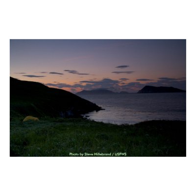 Chowiet Island Sunset Posters by moxieann
