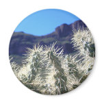 Choya Cactus - Arizona Magnet #3
